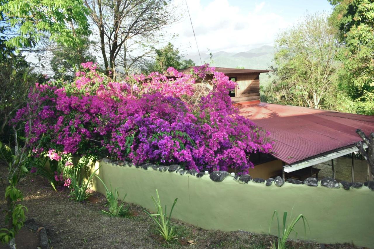 La Qhia Eco Retreat Hostel Santa Fe  Bagian luar foto